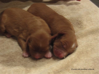 mit meiner Schwester