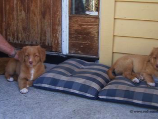 rechts meine Schwester